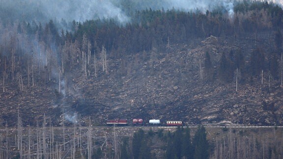 Ein Zug der Harzer Schmalspurbahn HSB unterstützt die die Brandbekämpfung am Brocken mit der Wasserversorgung.
