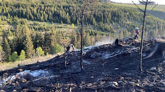 Ein Feuerwehrmann steht auf verbrannter Waldfläche.