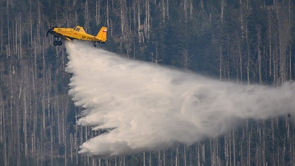 Ein Löschflugzeug ist bei einem Waldbrand am Königsberg unterhalb vom Brocken im Harz im Einsatz.