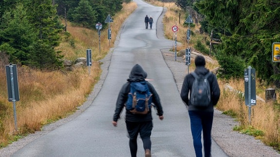 Wanderer gehen die Brockenstraße hinunter.