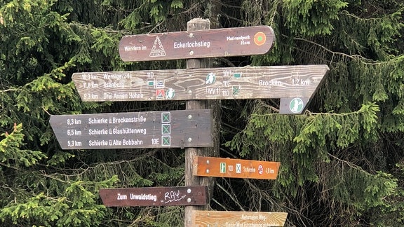 Ein Wegweiser zeigt Wanderwege im Nationalpark Harz. 
