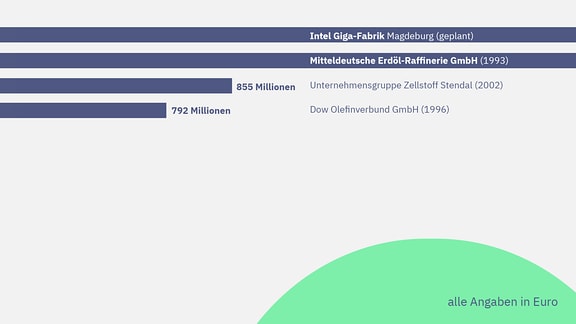 Großansiedlungen mit strukturpolitischer Bedeutung:  1.)	Mitteldeutsche Erdöl-Raffinerie GmbH (1993)                Investitionsvolumen: 2.471.156.485,27 Euro 2.)	Unternehmensgruppe Zellstoff Stendal (2002) 855.650.784,89 Euro  3.)	Dow Olefinverbund GmbH (1996) 792.758.489,32 Euro  4.)	Schwenk Zement Bernburg GmbH & Co. KG (1993) 383.672.719,84 Euro         5.) Progroup Paper PM3 GmbH und Progroup AG (2018) 376.092.069,00 Euro  6.)	Bayer AG/ Bayer Bitterfeld GmbH (1992) 345.256.086,16 Euro        7.)  UPM Biochemicals GmbH (2020) 262.303.606,66 Euro  8.)	Novelis Aluminium Holding Unlimited Company Zweigniederlassung Deutschland und Novelis (2012) 211.272.477,17 Euro  9.)	Deutsche Telekom AG + T-Systems (2016) 170.000.000,00 Euro  10.)	Schaeffler Automotive Aftermarket GmbH & Co. KG und Neovia Logistics Service (U.K.) Ltd. (2017) 168.262.411,00 Euro 