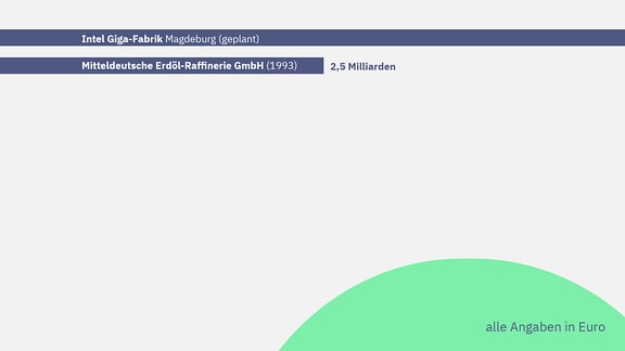 Großansiedlungen mit strukturpolitischer Bedeutung:  1.)	Mitteldeutsche Erdöl-Raffinerie GmbH (1993)                Investitionsvolumen: 2.471.156.485,27 Euro 2.)	Unternehmensgruppe Zellstoff Stendal (2002) 855.650.784,89 Euro  3.)	Dow Olefinverbund GmbH (1996) 792.758.489,32 Euro  4.)	Schwenk Zement Bernburg GmbH & Co. KG (1993) 383.672.719,84 Euro         5.) Progroup Paper PM3 GmbH und Progroup AG (2018) 376.092.069,00 Euro  6.)	Bayer AG/ Bayer Bitterfeld GmbH (1992) 345.256.086,16 Euro        7.)  UPM Biochemicals GmbH (2020) 262.303.606,66 Euro  8.)	Novelis Aluminium Holding Unlimited Company Zweigniederlassung Deutschland und Novelis (2012) 211.272.477,17 Euro  9.)	Deutsche Telekom AG + T-Systems (2016) 170.000.000,00 Euro  10.)	Schaeffler Automotive Aftermarket GmbH & Co. KG und Neovia Logistics Service (U.K.) Ltd. (2017) 168.262.411,00 Euro 