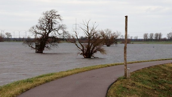 Der Elberadweg ist vor allem da nur noch befahrbar, wo er auf Deichanlagen verläuft.