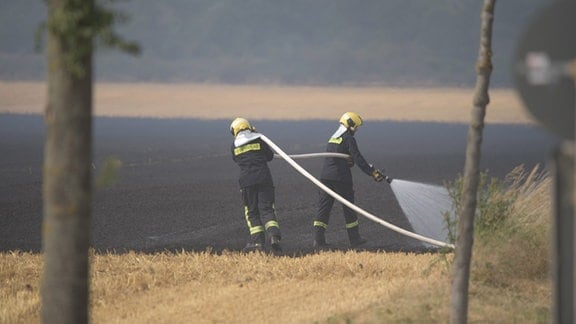 Zwei Feuerwehrleute löschen auf einem kahlen Getreidefeld