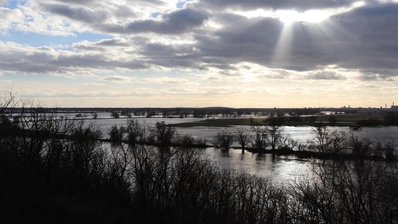 Blick vom Weinberg Hohenwarthe Richtung Magdeburg: An dieser Stelle fließen Umflutwasser und Elbe wieder zusammen.