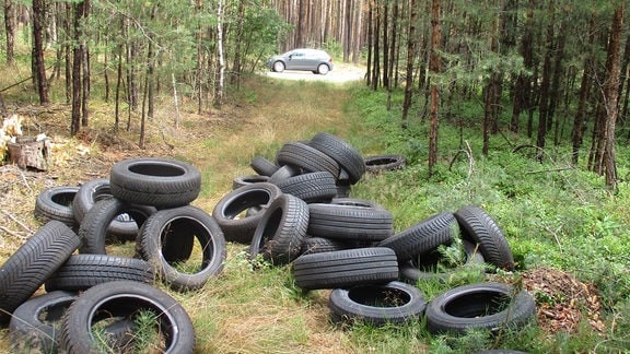 Reifen auf einem Waldweg
