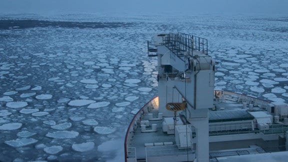 Ein Forschungsschiff fährt durch kleine Eisschollen.
