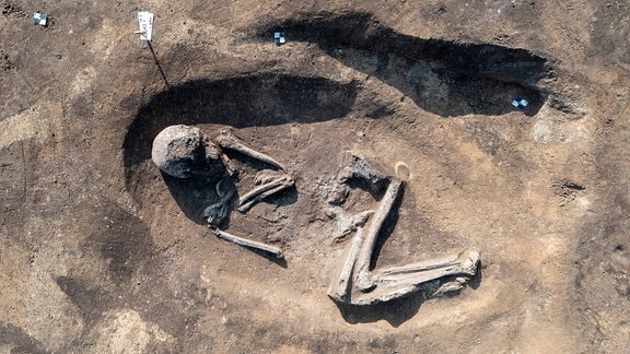 Bei Ausgrabungen entdecktes Skelett