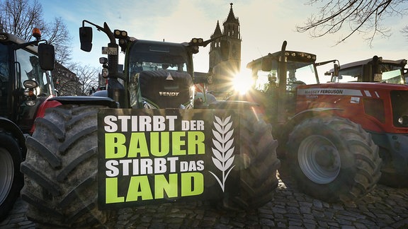Traktoren stehen bei einer Kundgebung auf dem Domplatz in Magdeburg