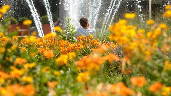 Mann entspannt 2017 in der Mittagshitze an einem Springbrunnen mit blühenden Sommerblumen.