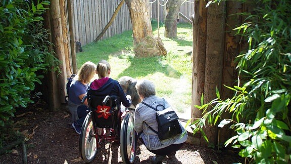 Zwei erwachsene Frauen und ein Kind im Rollstuhl stehen vor der Scheibe eines Schimpansengeheges im Zoo Magdeburg und lächeln in die Kamera.