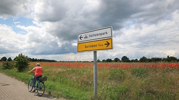 Eine Frau fährt mit dem Fahrrad an einem Feld voller Mohnblumen vorbei, vor dem ein Wegweiser nach links zum Industriegebiet Ostfalen und nach rechts nach Barleben zeigt.