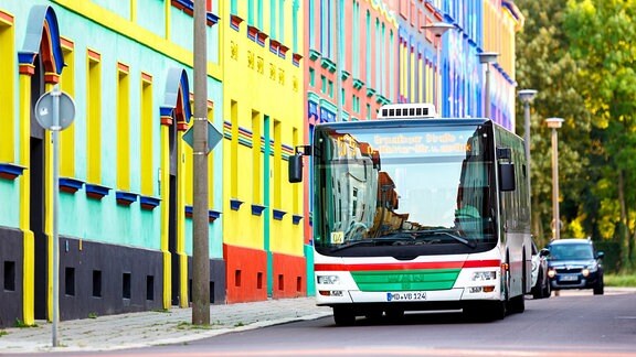 Bus der Magdeburger Verkehrsbetriebe (MVB) in der Otto-Richter-Straße in Magdeburg 