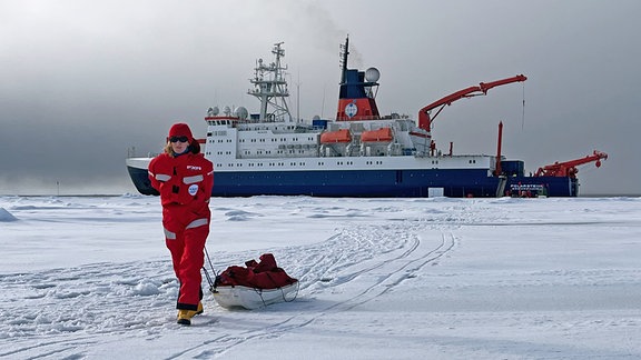 Carolin Mehlmann zieht einen Schlitten mit Ausrüstung über das Eis am Nordpol.