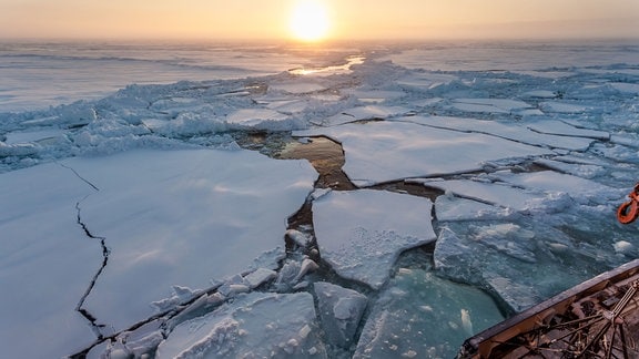Das deutsche Forschungsschiff Polarstern in der zentralen Arktis, zerbrochene Eisschollen am Bug