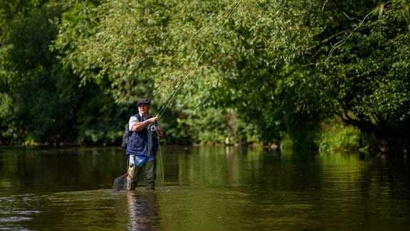 Heimo Reilein, Gewässerwart und stellvertretender Vorsitzender des Angelvereins Oschersleben sowie Vorsitzender der Interessengemeinschaft Bodelachs, zieht einen Fisch aus dem Wasser der Bode, den er mit einer Fliegenrute gefangen hat. 