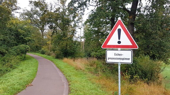 An einem Waldweg bei Radis steht ein Warnschild mit der Aufschrift "Eichenprozessionsspinner"