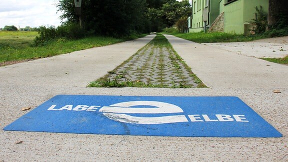 Auf einem Plattenweg zwischen Wiesen und Bäumen ist ein "Elberadweg"-Sticker in den Boden eingelassen