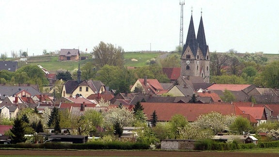 Türme der Klosterkirche St. Georg und Pancratius über den Dächern von Hecklingen
