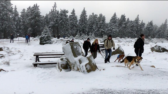 Spaziergänger im Schnee mit Hund