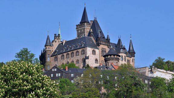 Zu sehen ist das Schloss Wernigerode auf einem Berg, von unten fotografiert und bei gutem Wetter mit blauem Himmel. Um das Schloss herum ist viel grün zu sehen.