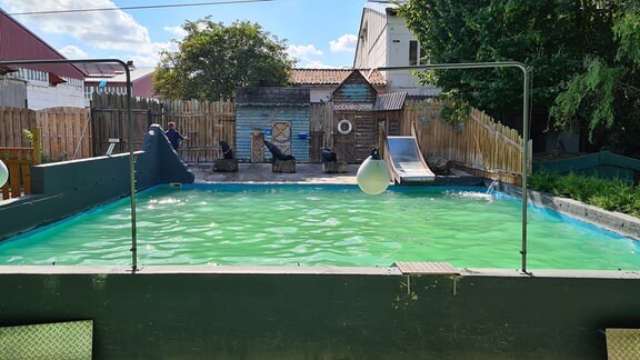 Ein Wasserbecken mit Seebären und Tiertrainer im Erlebnistierpark Memleben.