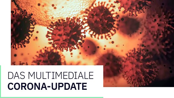 Epidemische Viruspartikel, Konzeptgrafik // Grafik: Das multimediale Corona-Update Newsletter