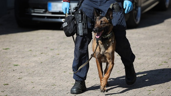 Ein Polizist kommt mit seinem Spürhund aus einem Haus.