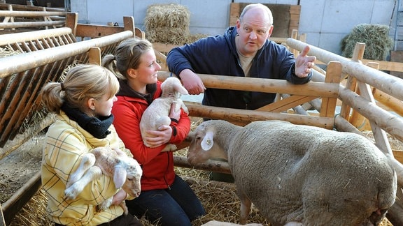 Ein Mann und zwei junge Frauen an einem Schafgehege