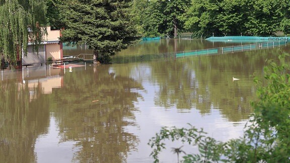 Das Hochwasser der Saale hat am 04.06.2013 die Anlagen vom Tennisclub "Sandanger Halle" in Halle/Saale (Sachsen-Anhalt) überschwemmt. 
