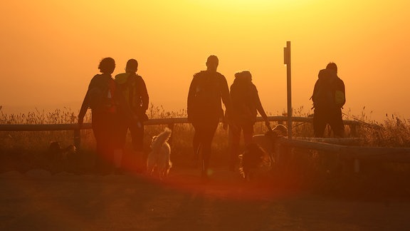 Eine Wandergruppe mit Hunden geht im Licht der aufgehenden Sonne auf dem Brocken