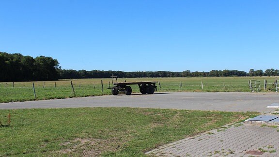 Ein Traktoranhänger steht auf einem Steinplatz vor einer Weide. Im Hintergrund sind Schafe und Bäume zu sehen