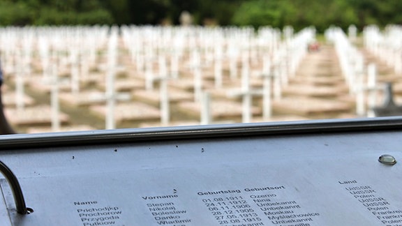 Mahn- und Gedenkstätte Isenschnibbe bei Gardelegen: Eine Liste mit Namen auf einer Tafel, im Hingergrund verschwommen viele weiße Kreuze