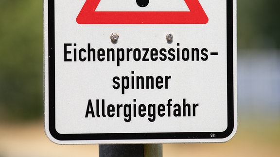 „Eichenprozessionsspinner - Allergiegefahr“ steht auf einem Schild.