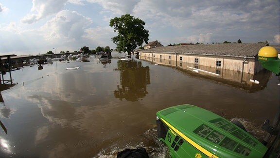 Bundeswehrkräfte mit Schwimmpanzern und Landwirte mit Traktoren evakuieren am 11.06.2013 Milchkühe aus dem vom Hochwasser eingeschlossenen Schönhausen (Sachsen-Anhalt).