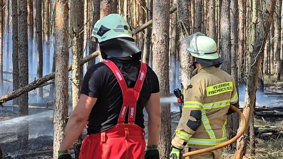 Feuerwehrleute im Wald