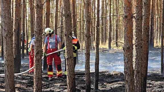 Feuerwehrleute im Wald