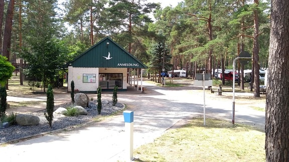 Blick auf einen Campingplatz in einem Nadelwald - auf einem Gebäude steht "Anmeldung"