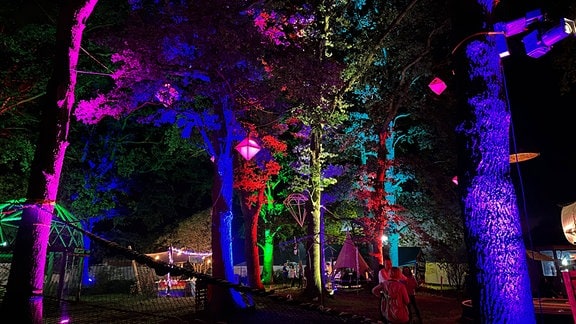Illuminierte Bäume auf dem Festivalgelände