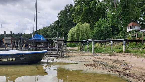 Niedriger Wasserpegel am Arendsee: Ein Steg, der im Trockenen steht und ein Boot, das im flachen Wasser liegt