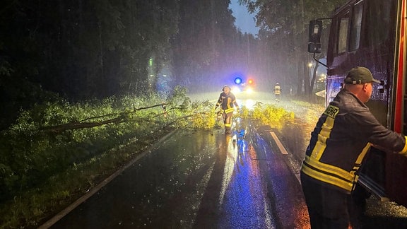 Feuerwehrleute und ein umgestürzter Baum auf einer regennassen Straße