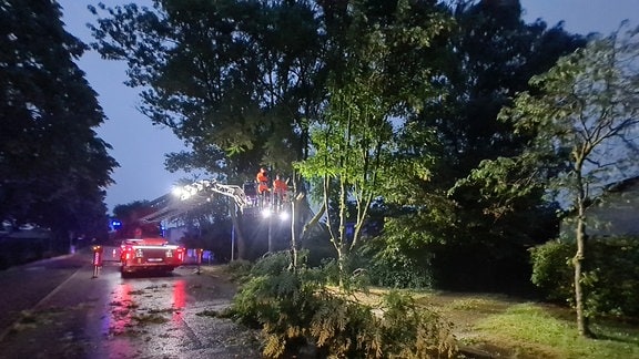 Nasse Straße mit umgestürztem Baum, daneben Feuerwehrfahrzeug und Einsatzkräfte