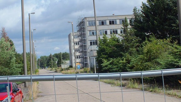 Eine Straße aus Betonplatten, neben der sich Bäume und zwei Plattenbauten befinden.