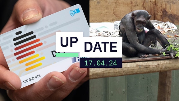 Im Hintergrund auf der linken Seite Deutschlandticket, das in einer Hand gehalten wird, auf der rechten Seite ein sitzender Schimpanse zu sehen. Im Vordergrund steht der Text "UPDATE, 17.04.24".
