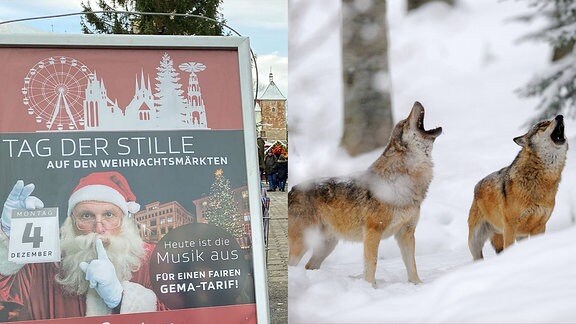 Eine Collage aus einem Schild über den Tag der Stille auf dem Weihnachtsmarkt und zwei heulenden Wölfen im Schnee.
