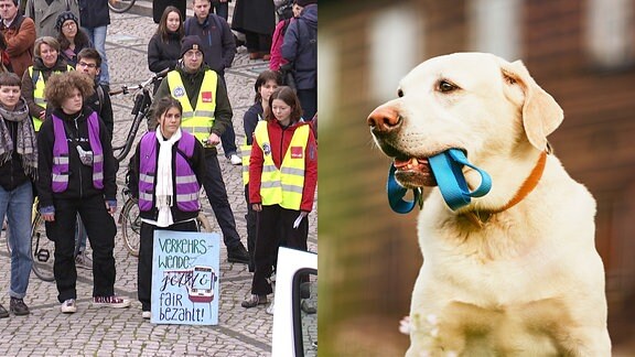 Eine Collage aus dem Bild vom Klimastreik Halle und einem Hund mit Leine im Maul