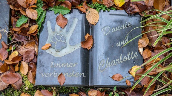 Grabstein auf dem Friedhof Unser Hafen in Braubach wo sich Mensch und Haustier in einem gemeinsamen Urnengrab bestatten lassen koennen