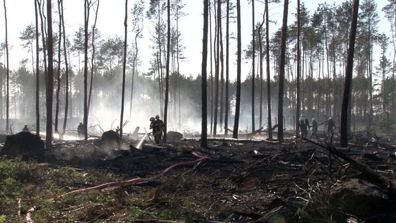 Feuerwehrleute löschen einen Brand in einem Wald (Symbolbild).