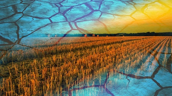 Collage: Ein abgeerntetes Getreidefeld in der Abendsonne bei Bennstedt im Saalekreis und ausgetrockneter Boden